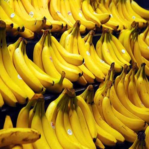 Cavendish Bananas