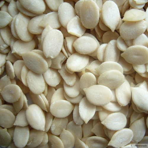 Melon Seeds