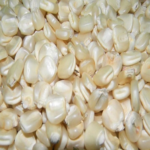 White Corn